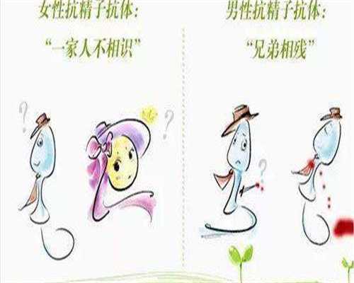 供卵生孩子亲吗？从生物学与情感纽带深度解析助孕家庭关系