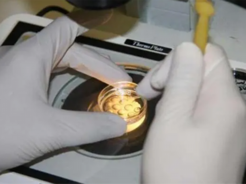 福州900医院试管费用多少?2026年最新报销比例与总花费